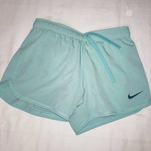 Mint green Nike Shorts with Built-in Liner
